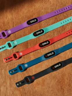 QALO ID Powered By MyID -Silicone Jewelry & Accessories Accessories.QALOID.Flatlay