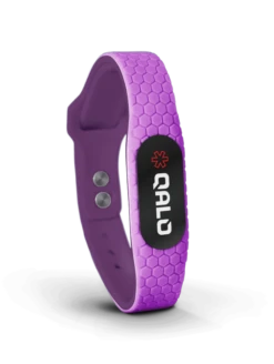 QALO ID Powered By MyID -Silicone Jewelry & Accessories Accessories.QALOID.Purple.Front da11613a 4627 43c6 8d9b c78a6428924f