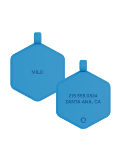 Blue Glow Classic Hex Dog ID Tag -Silicone Jewelry & Accessories BlueGlow.Hex .CMZ