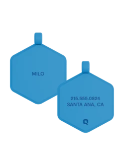 Blue Glow Classic Hex Dog ID Tag