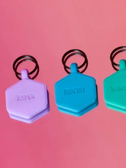 Blue Glow Classic Hex Dog ID Tag -Silicone Jewelry & Accessories Blue Glow Hex Lifestyle1