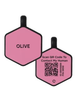 Rose Silicone QR Dog ID Tag Powered By MyID -Silicone Jewelry & Accessories Core.Hex .Rose .MyID .CMZ