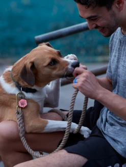 Rose Silicone QR Dog ID Tag Powered By MyID -Silicone Jewelry & Accessories Core.Hex .Rose .MyID .lifestyle1