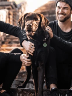 Green Round Silicone Dog ID Tag -Silicone Jewelry & Accessories Core.Round .Lifestyle1 be4c5f48 8f1c 4564 95c5 6167c149207c