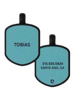 Teal Shield Silicone Dog ID Tag