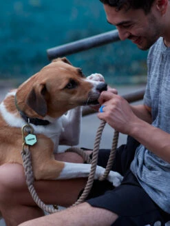 Green Glow Classic Hex Dog ID Tag -Silicone Jewelry & Accessories Green Glow Hex Lifestyle2