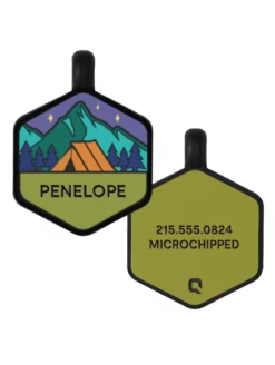 Base Camp Silicone Dog ID Tag