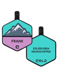 Bloom Mountain Silicone Dog ID Tag