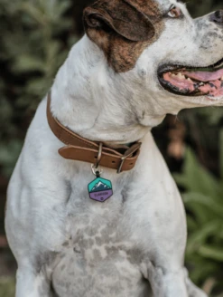 Bloom Mountain Silicone Dog ID Tag -Silicone Jewelry & Accessories Outdoors.BloomMountain.Lifestyle1