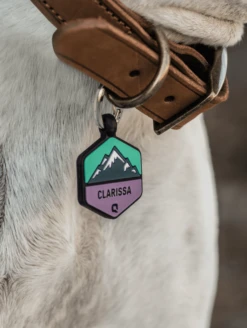 Frost Mountain Silicone Dog ID Tag -Silicone Jewelry & Accessories Outdoors.BloomMountain.Lifestyle2 135e3383 5434 4391 b235 68c3fdf359ba