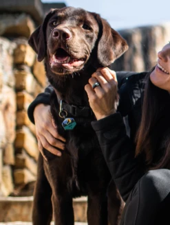 Sunrise Wild One Silicone Dog ID Tag -Silicone Jewelry & Accessories Outdoors.DuskWildOne.Lifestyle1 63c4813a f864 44d1 8a14 1b6d61736364