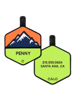 Neon Mountain Silicone Dog ID Tag -Silicone Jewelry & Accessories Outdoors.NeonMountain.CMZ