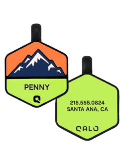 Neon Mountain Silicone Dog ID Tag