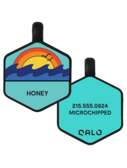 Ocean Sunrise Silicone Dog ID Tag