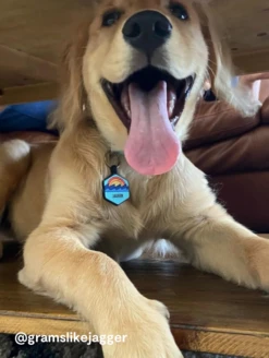 Ocean Sunrise Silicone Dog ID Tag -Silicone Jewelry & Accessories Outdoors.OceanSunrise.Lifestyle2