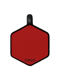 Sunrise Wild One Silicone Dog ID Tag -Silicone Jewelry & Accessories Outdoors.SunriseWildOne.Back .UpdatedColor 3b573361 95da 4675 a46a 7d6eaca290d2