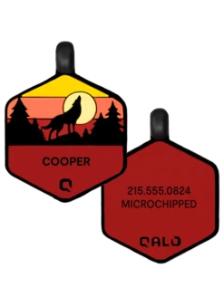 Sunrise Wild One Silicone Dog ID Tag