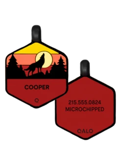 Sunrise Wild One Silicone Dog ID Tag -Silicone Jewelry & Accessories Outdoors.SunriseWildOne.CMZ 5d87ea0e 1635 4381 95d9 32c68562ee75