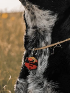 Dusk Wild One Silicone Dog ID Tag -Silicone Jewelry & Accessories Outdoors.SunriseWildOne.Lifestyle1 cb57076a 5dd2 4bc6 8958 2bf6c27a51be