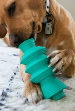 QALO Ruff Ridge -Silicone Jewelry & Accessories QALO RuffRidge Hover