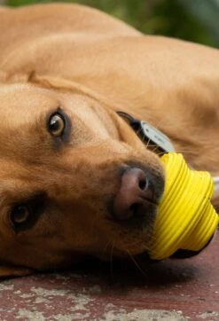 QALO Ruff Ridge Mini -Silicone Jewelry & Accessories QALO RuffRidgeMini Hover