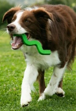 QALO Trail Tail -Silicone Jewelry & Accessories QALO TrailTail Hover