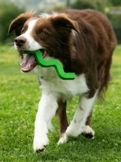 QALO Trail Tail -Silicone Jewelry & Accessories QALO TrailTail Lifestyle 02