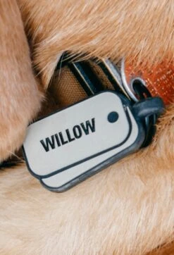 Folds Of Honor Military Dog ID Tag -Silicone Jewelry & Accessories QLO FoldsofHonor DogTag DogTag Hover db45fff6 d0be 44a6 9ec6 9a11b40efd91