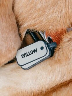 Folds Of Honor Military Dog ID Tag -Silicone Jewelry & Accessories QLO FoldsofHonor DogTag DogTag Lifestyle 01 3328dc24 409b 4e1e 9f4d 18f1ab7c4261