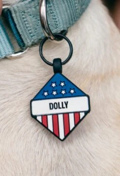 Folds Of Honor Diamond Dog ID Tag -Silicone Jewelry & Accessories QLO FoldsofHonor DogTag Flag Diamond Hover