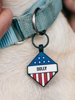 Folds Of Honor Diamond Dog ID Tag -Silicone Jewelry & Accessories QLO FoldsofHonor DogTag Flag Diamond Lifestyle 01