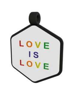 Rainbow Love Is Love Hex Dog ID Tag