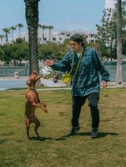 QALO TraQ Base Camp Silicone Dog ID Tag -Silicone Jewelry & Accessories QLO.TraQ .BaseCamp.Lifestyle2