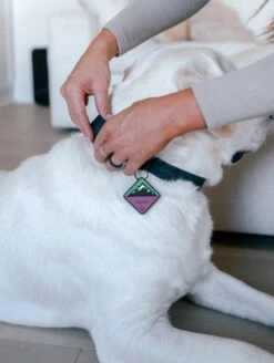 QALO TraQ Bloom Mountain Silicone Dog ID Tag -Silicone Jewelry & Accessories QLO.TraQ .BloomMountain.Lifestyle2