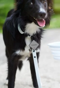 QALO TraQ Grey Silicone Dog ID Tag -Silicone Jewelry & Accessories QLO.TraQ .Grey .Hover