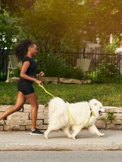 Electric QALO Leash & Collar Set -Silicone Jewelry & Accessories QLO Accessory Set Electric Leash Collar Lifestyle2