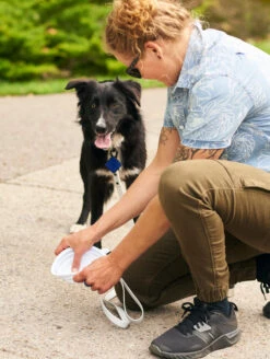 Navy QALO Leash & Collar & Ocean Sunrise TraQ Dog ID Tag Set -Silicone Jewelry & Accessories QLO Accessory Set Leash Collar TraQ Bowl Lifestyle2 6ee756e8 4cc2 405b bb7e 4f05b2070480