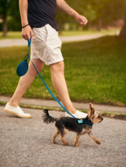 Navy QALO Leash & Collar Set -Silicone Jewelry & Accessories QLO Accessory Set Navy Leash Collar Lifestyle2