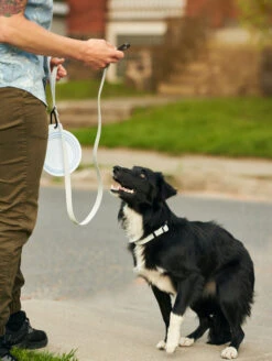 Sky Blue QALO Leash & Collar & Frost Mountain Silicone Dog ID Tag Set -Silicone Jewelry & Accessories QLO Accessory Set SkyBlue Leash Collar Silicone Tag Bowl Lifestyle2