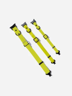 Electric QALO Leash & Collar Set -Silicone Jewelry & Accessories QLO Collar AllSizes electric ca9263b4 43d5 4bf2 b3d9 4a2190906942