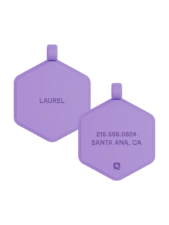 Violet Glow Classic Hex Dog ID Tag