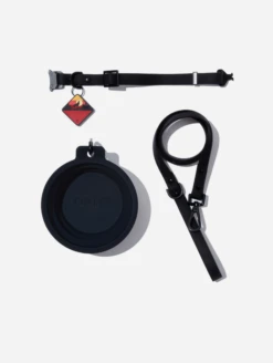 Charcoal QALO Leash & Collar & Sunrise Wild One TraQ Dog ID Tag Set