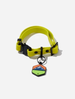 Electric QALO Collar & Neon Mountain Silicone Dog ID Tag Set
