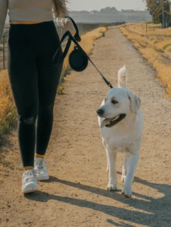 QALO Dog Leash -Silicone Jewelry & Accessories lifestyle leash 2