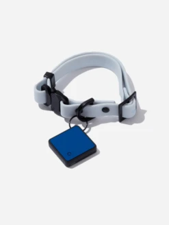 Sky Blue QALO Collar & Classic Navy TraQ Dog ID Set