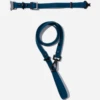 Navy QALO Leash & Collar Set -Silicone Jewelry & Accessories navy collar leash