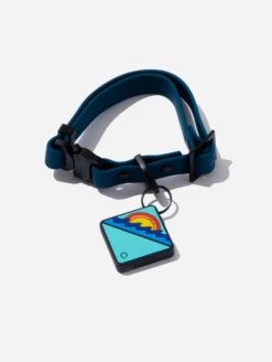 Navy QALO Collar & Ocean Sunrise TraQ Dog ID Tag Set