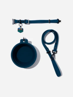 Navy QALO Leash & Collar & Dusk Wild One Silicone Dog ID Tag Set